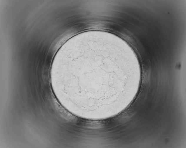 X0000115241338200911201612