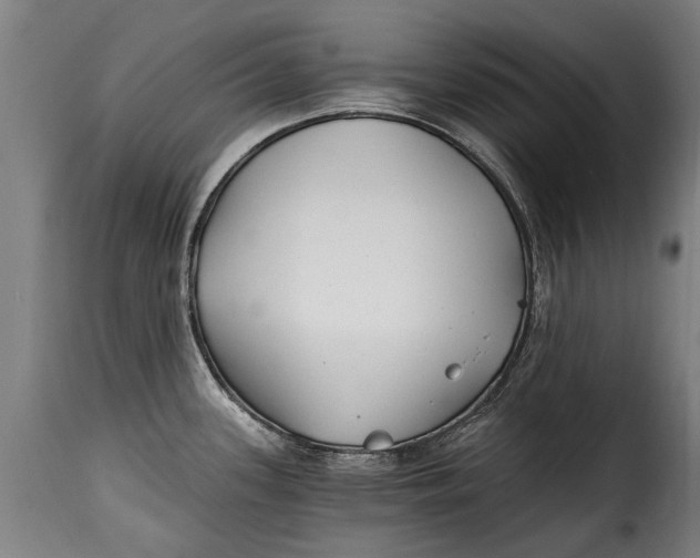 X0000115241339200911201612