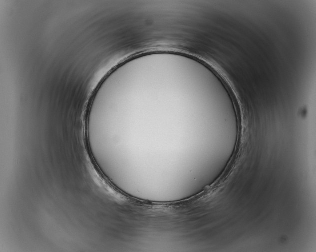 X0000115241341200911201612