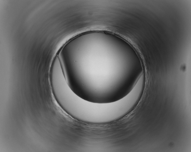 X0000115241342200911201612