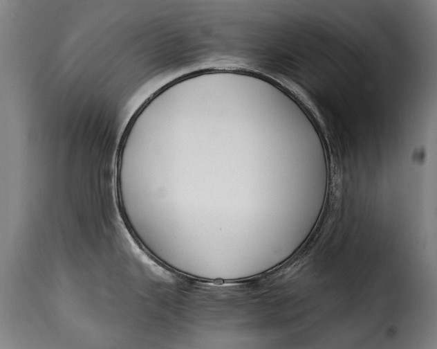 X0000115241343200911201612