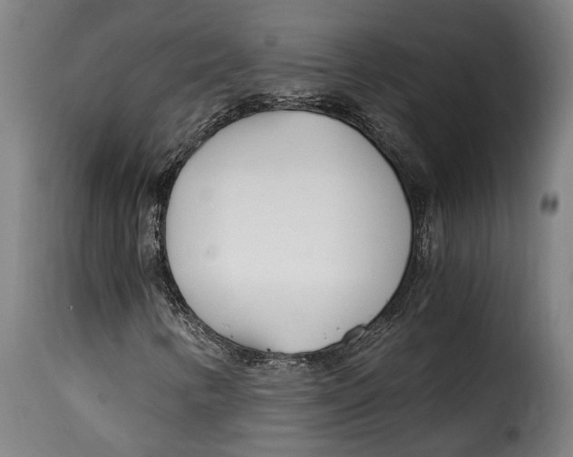 X0000115241346200911201611