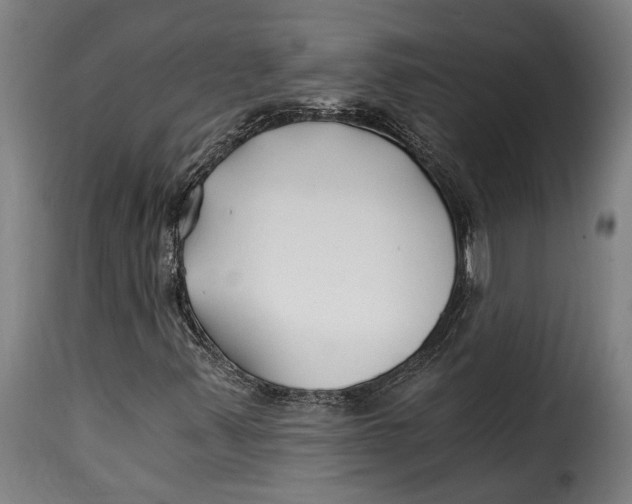 X0000115241347200911201611