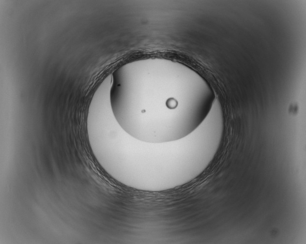 X0000115241348200911201611