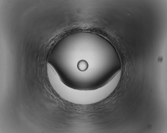 X0000115241349200911201611