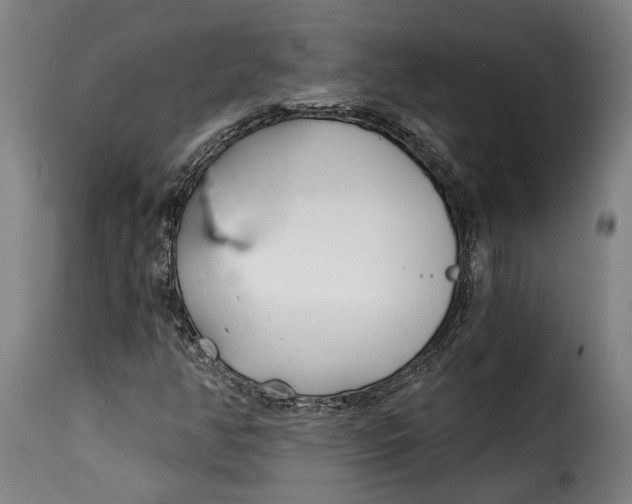 X0000115241350200911201611