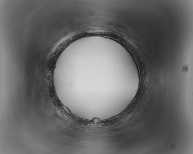 X0000115241351200911201611