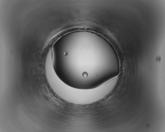 X0000115241352200911201611