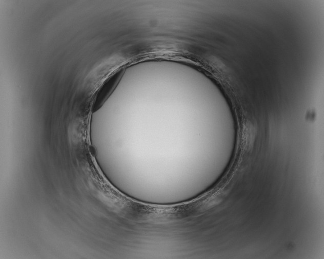 X0000115241353200911201611