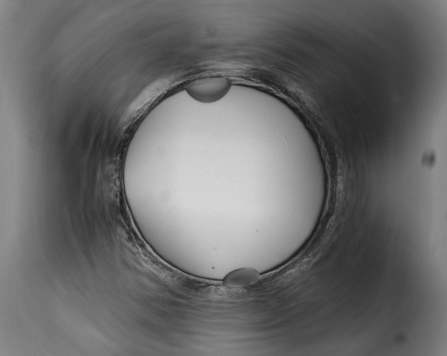 X0000115241354200911201611