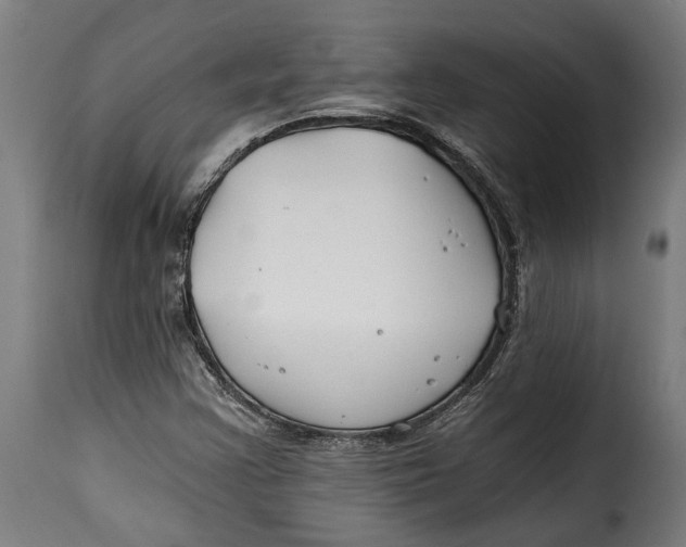 X0000115241355200911201611