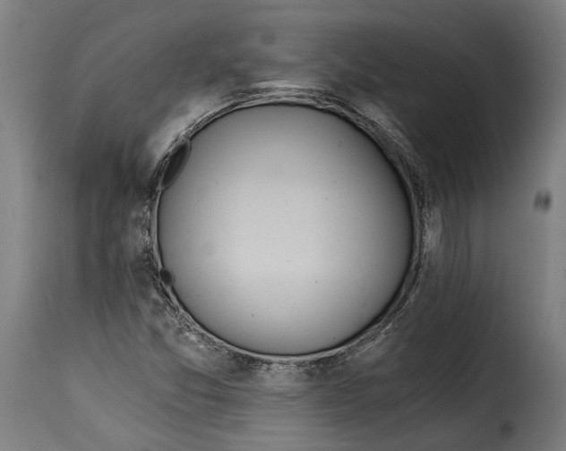 X0000115241357200911201611