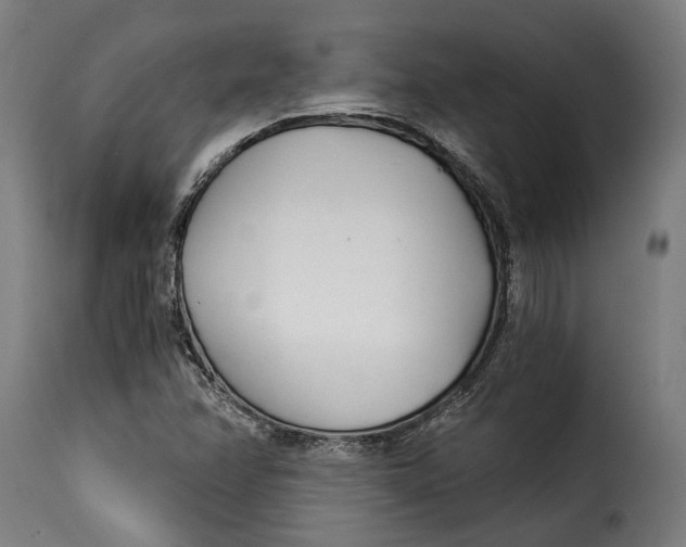 X0000115241358200911201611