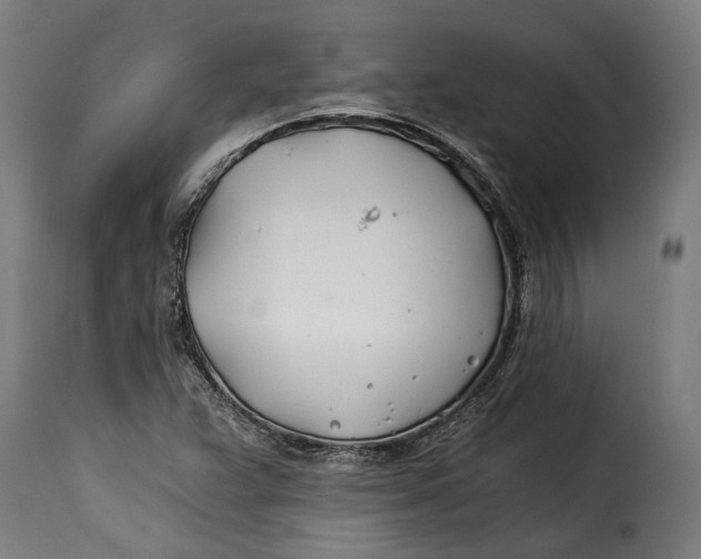 X0000115241359200911201611