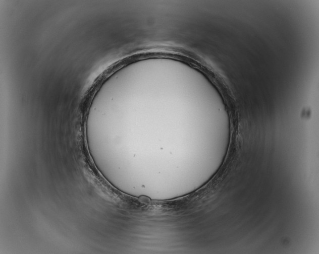 X0000115241360200911201611