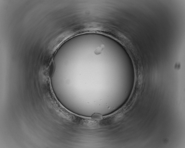 X0000115241361200911201611