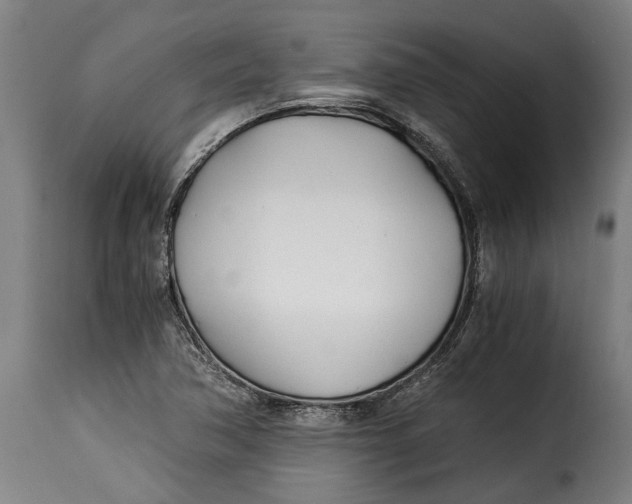 X0000115241362200911201611