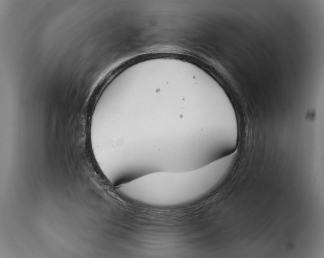 X0000115241364200911201611