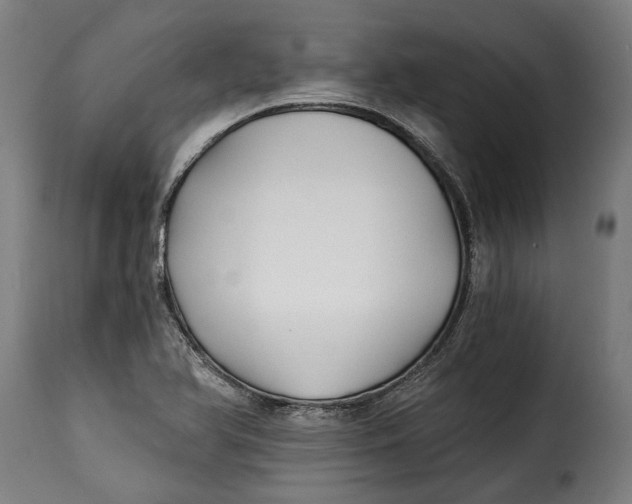 X0000115241366200911201611