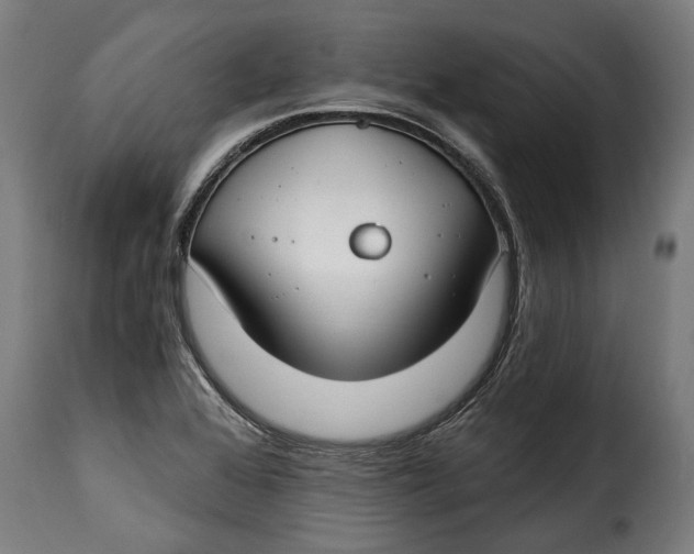 X0000115241368200911201611