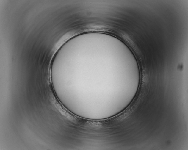 X0000115241370200911201611