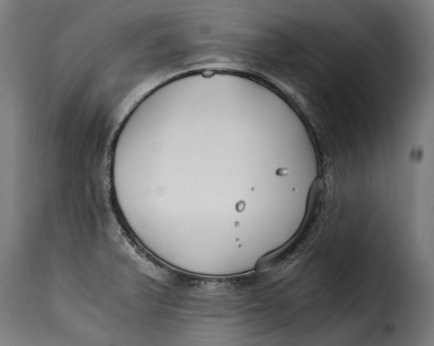 X0000115241375200911201611