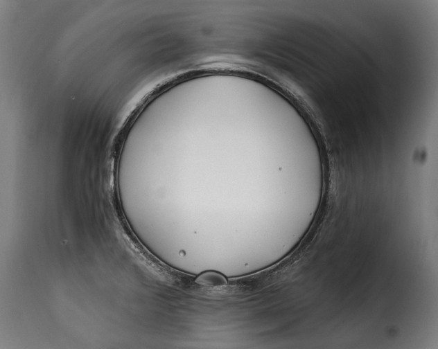 X0000115241376200911201611