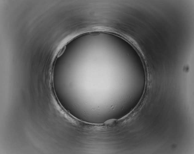 X0000115241381200911201611