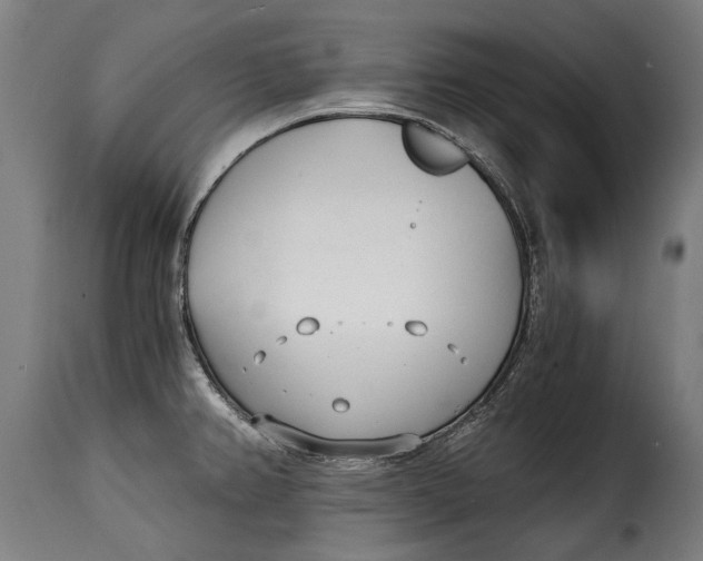 X0000115241382200911201611