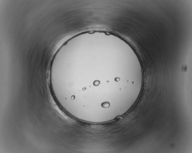 X0000115241383200911201611