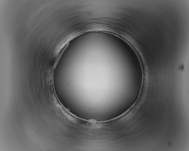X0000115241385200911201611