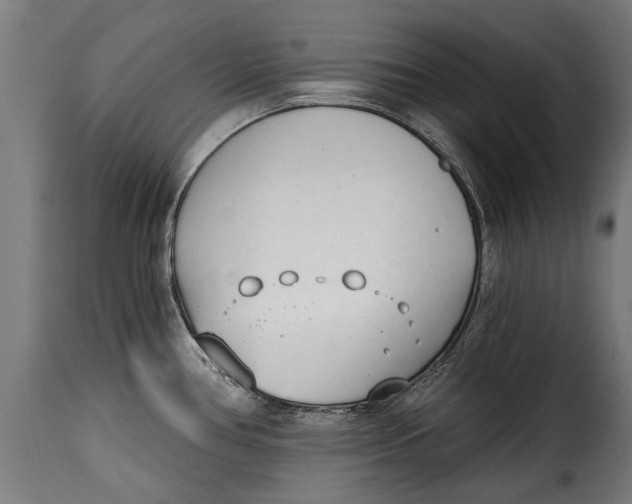 X0000115241386200911201611