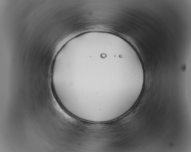 X0000115241387200911201610