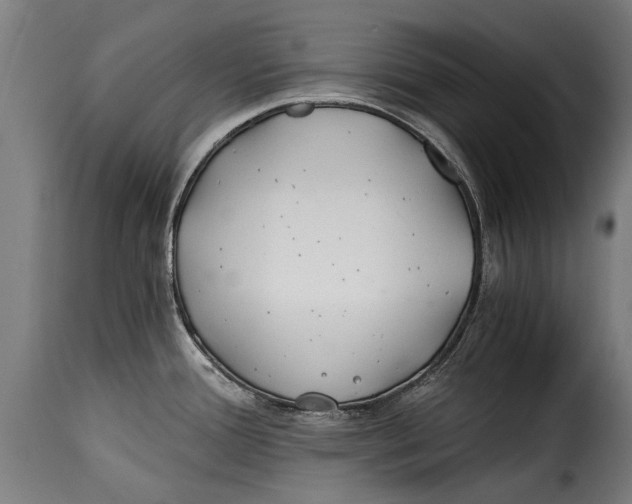 X0000115241388200911201610