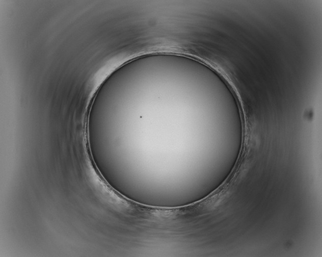 X0000115241389200911201610