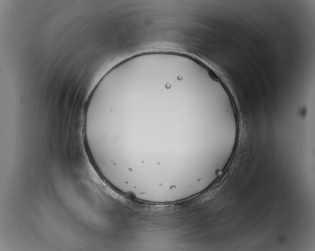 X0000115241390200911201610