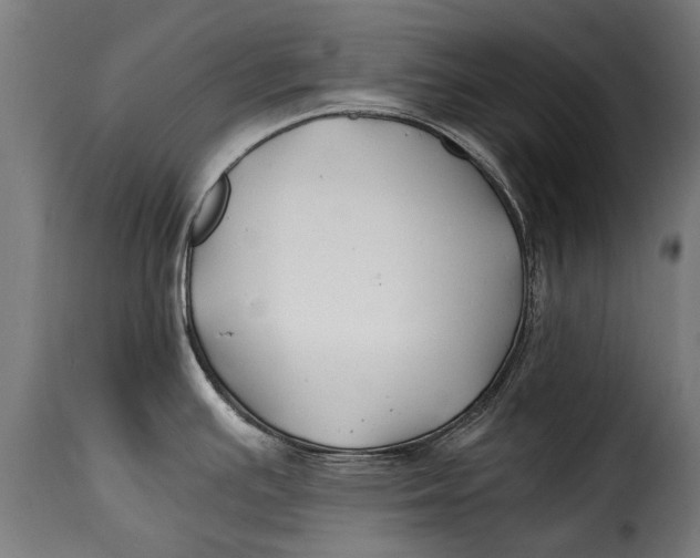 X0000115241391200911201610