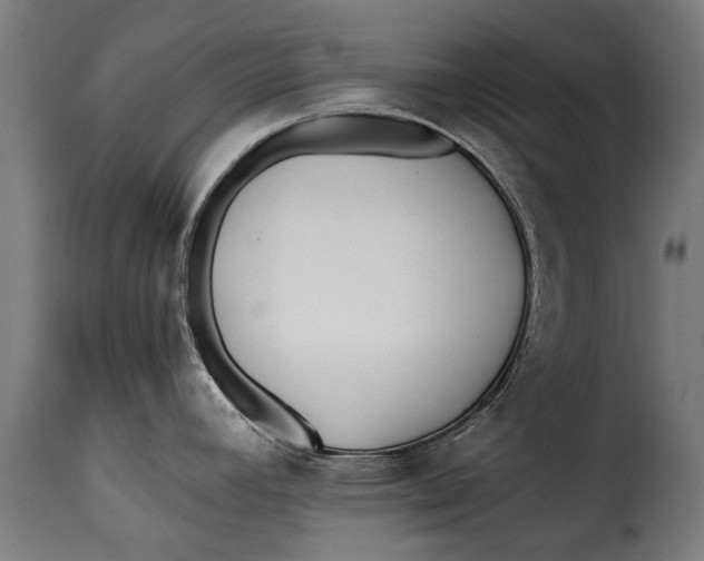 X0000115241392200911201610