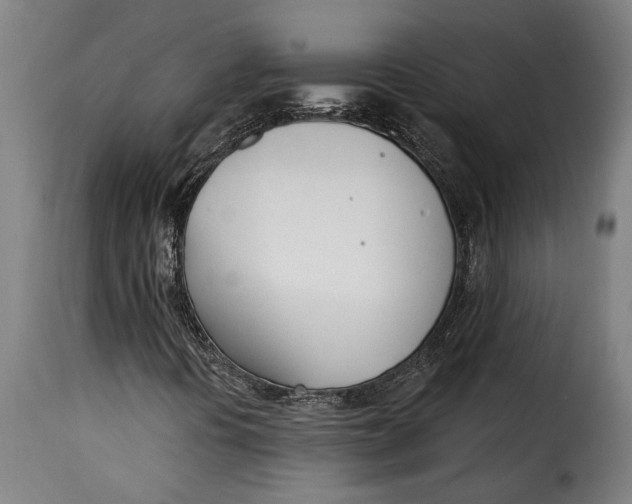 X0000115241394200911201610