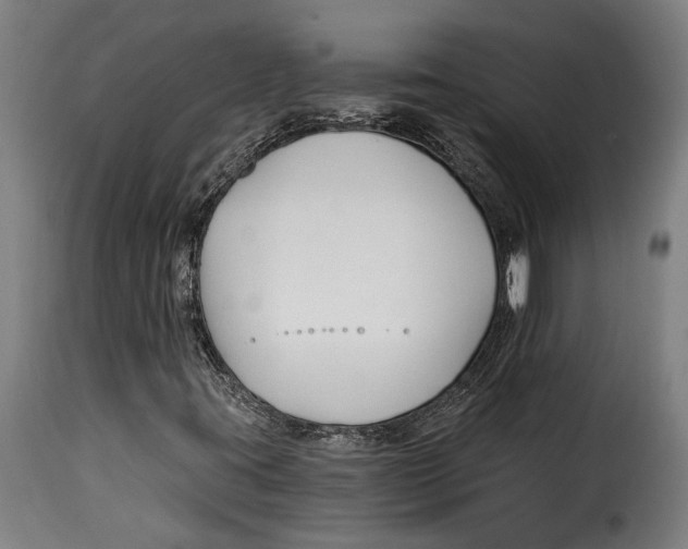 X0000115241395200911201610