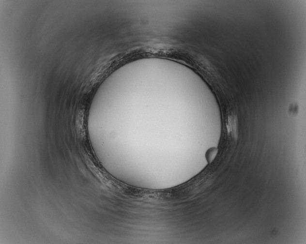 X0000115241396200911201610