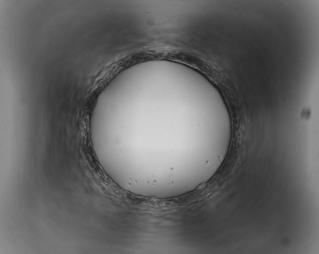 X0000115241397200911201610