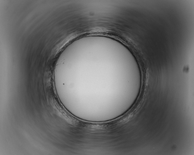 X0000115241401200911201610