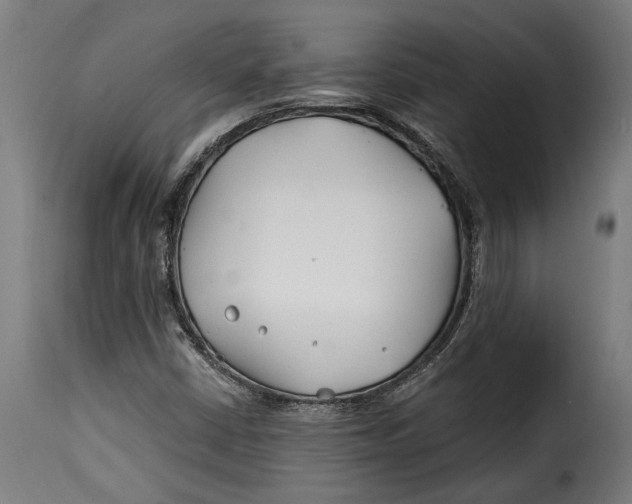 X0000115241402200911201610