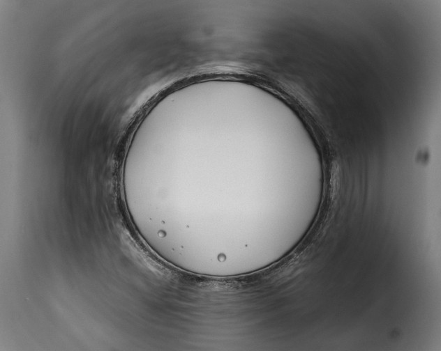 X0000115241404200911201610