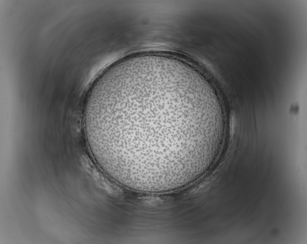 X0000115241405200911201610
