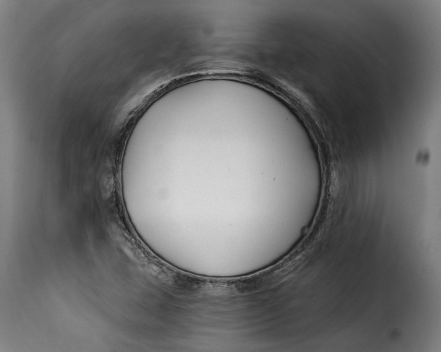 X0000115241407200911201610