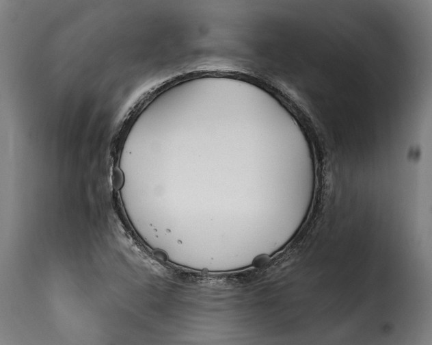 X0000115241408200911201610