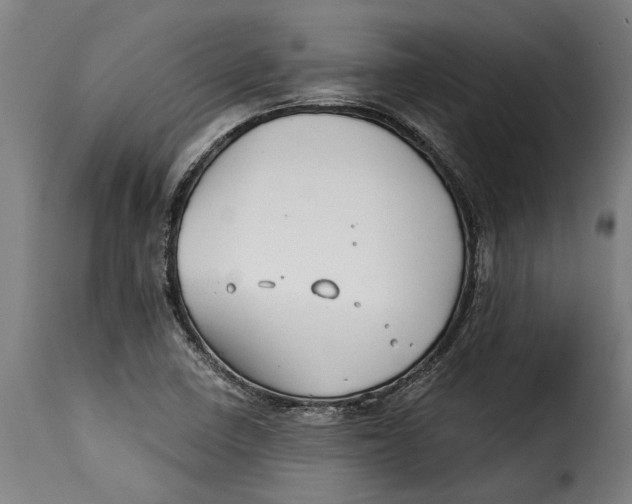 X0000115241410200911201610