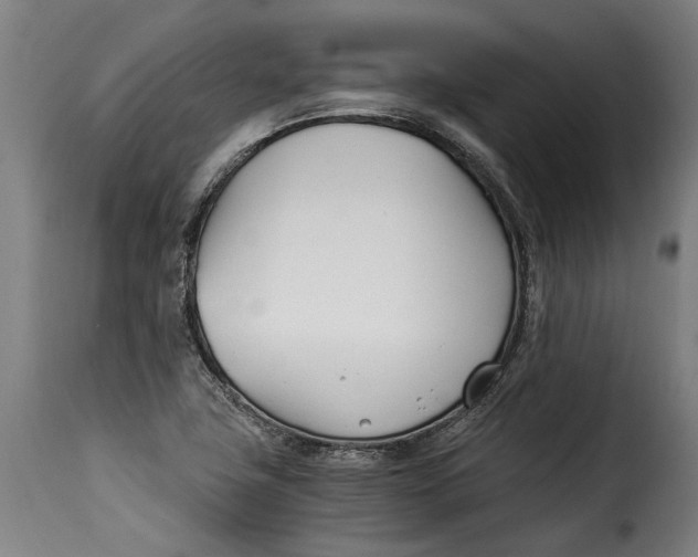 X0000115241411200911201610